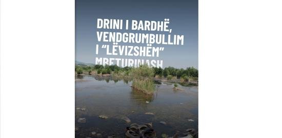 Ndotja e Drinit të Bardhë