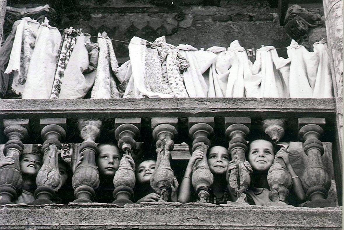 Shkencë. Politikë. Analfabetizëm