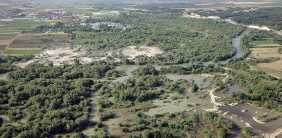 Fati i zi i Drinit të Bardhë