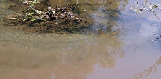 Ferronikeli vret lumin Drenica