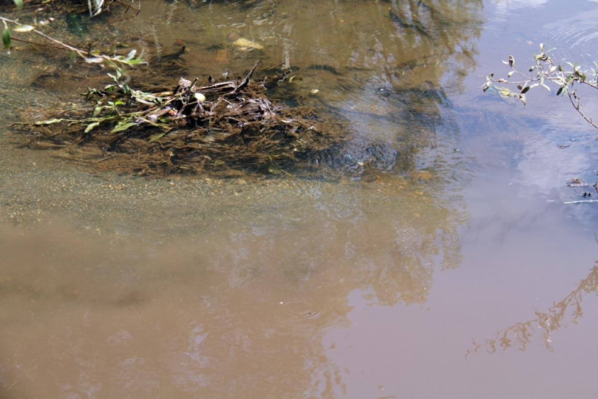 Ferronikeli vret lumin Drenica