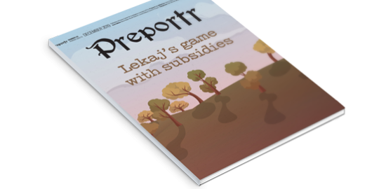 Lekaj's game with subsidies