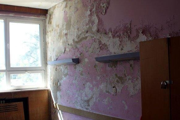 Një imazh që përmban mur, mjedis i brendshëm, dritare, dhomë  Përmbajtja e gjeneruar me AI mund të jetë e pasaktë.