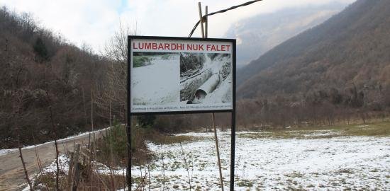 Failed SLAPP lawsuits against environmental activists