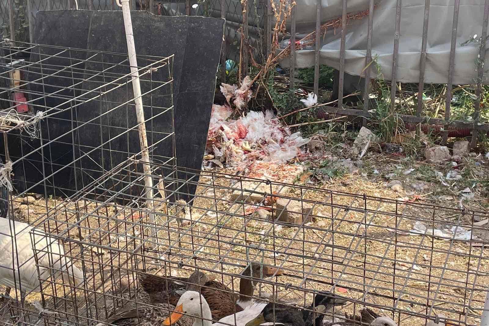 Kasaphanet e tregjeve ilegale