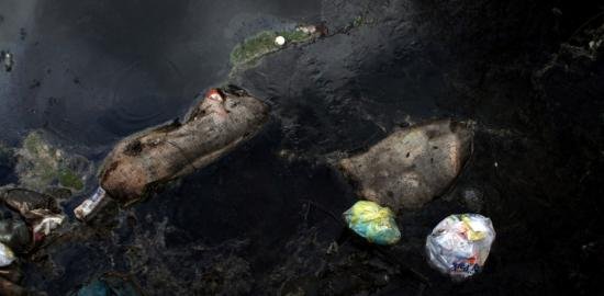 Lumenjtë e "vdekur"