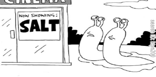 Mujota e “kripë” edhe një tender